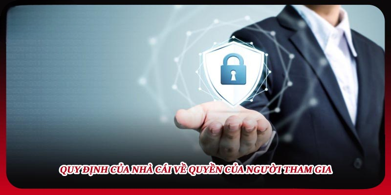 Chính Sách Bảo Mật Soikeo88 – Quy Trình Bảo Vệ Thông Tin Dữ Liệu